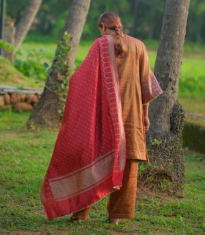 Tissue kurta with dupatta & matching pants