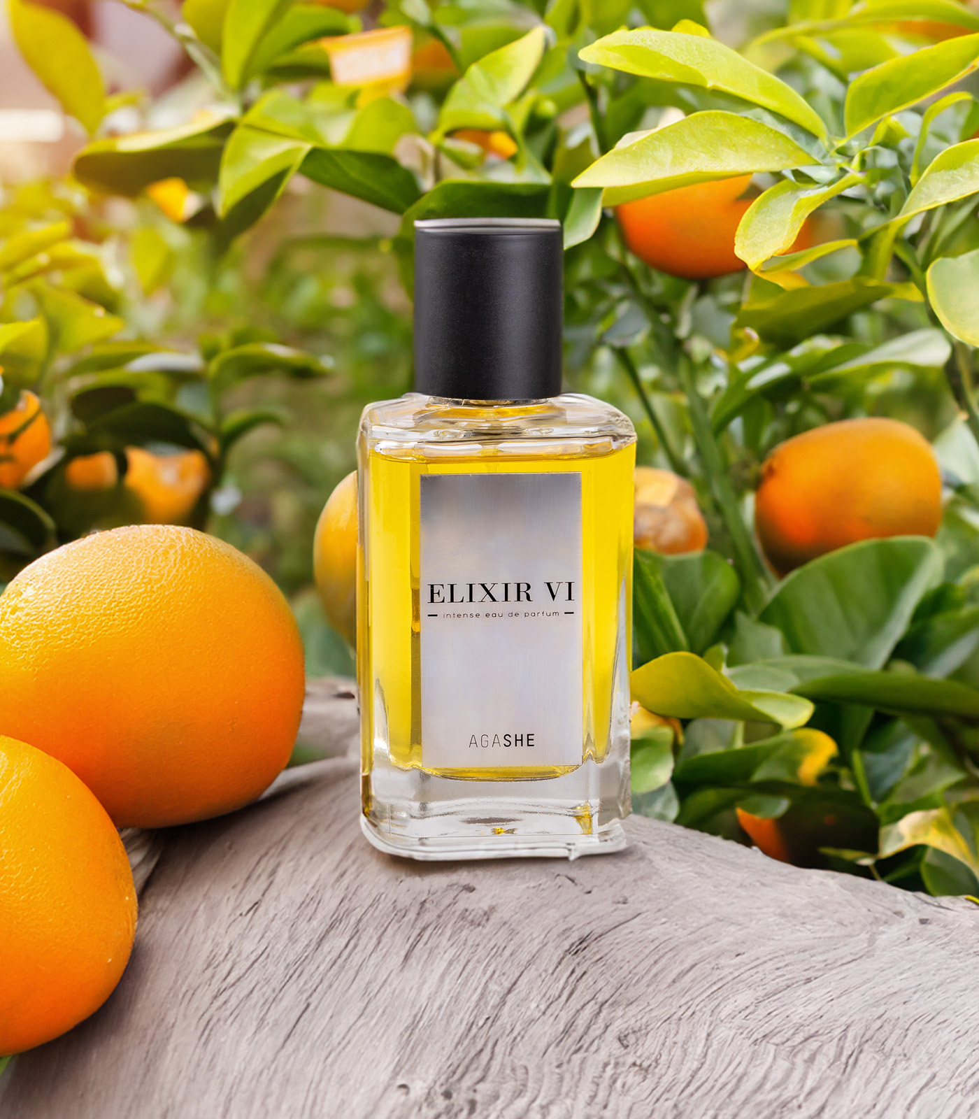 Elixir VI Perfume